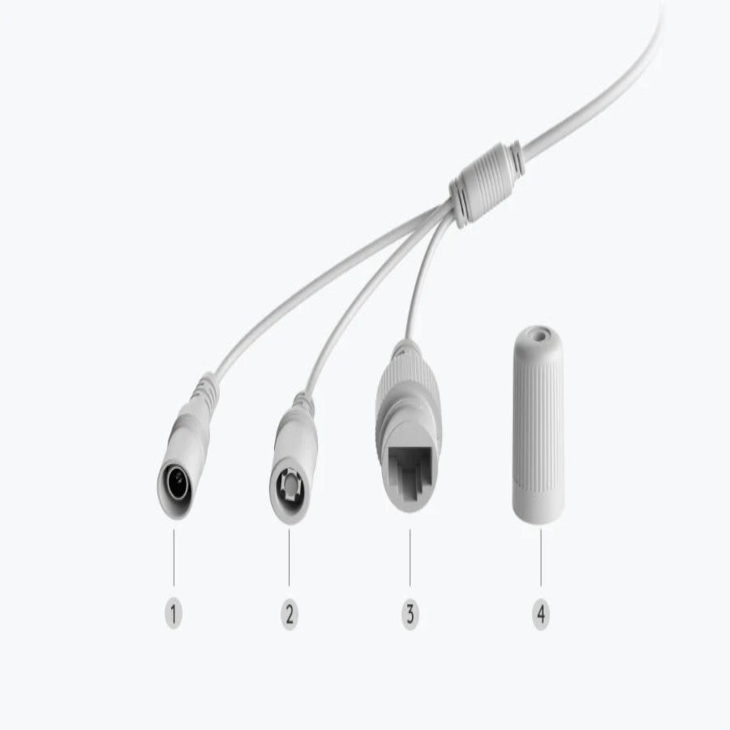 plugs