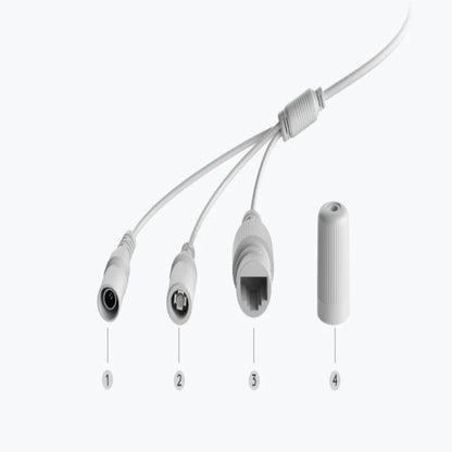 plugs